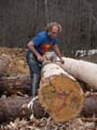 Andrew (Superman) peeling a large pine log using a drawknife